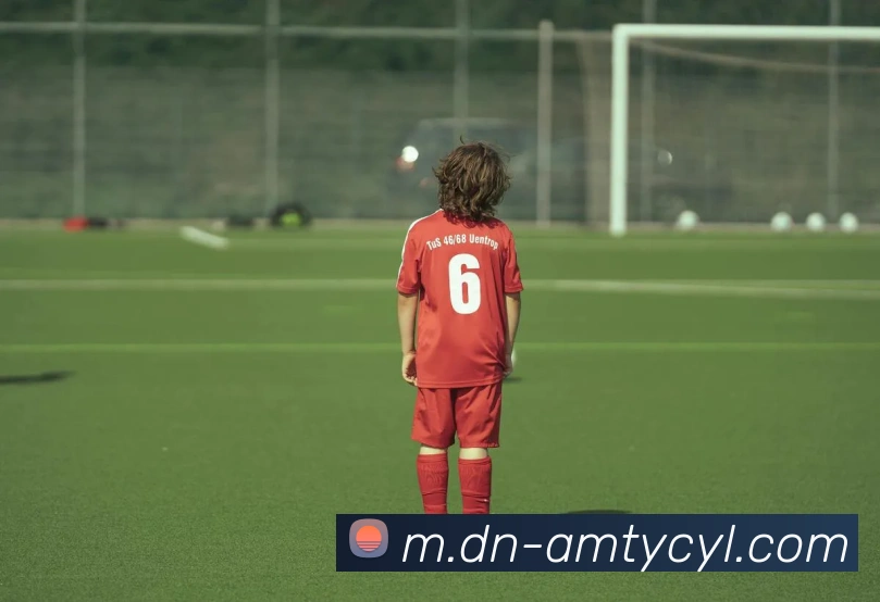 多媒体互动体验